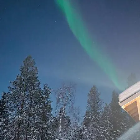Hallahaukka * Ivalo