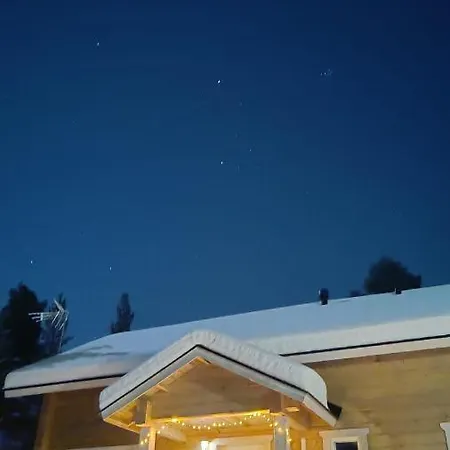 Hallahaukka *