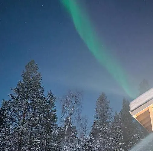 Hallahaukka * Ивало